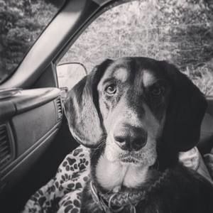 Meet your Posher, Marly